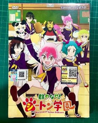 Murenase! Seton Gakuen (VOL.1 - 12 End) ~ All Region ~ English Subtitle ~ DVD