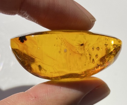 20 grammi Ambra con insetti multipli - fossile Repubblica Dominicana - originale - Foto 4 di 7