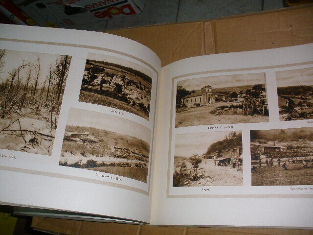 Picture 10 of 12
