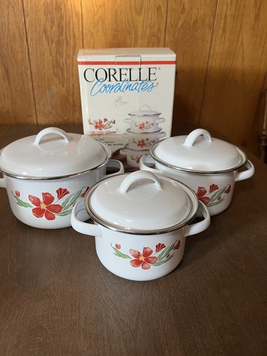 Corelle Coordinates 6pc Pacific Bloom Enameled Mini Stock Pots Lids With Box - 第 1/19 張圖片