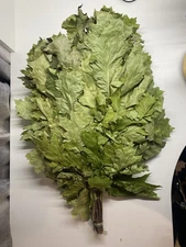 10 Oak brooms sauna banya venik Eiche whisks eco 2025 Ukrainian