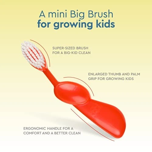 RADIUS Kidz Toothbrush Children's Right Hand BPA Free ADA Accepted Designed to - Image 3 of 4