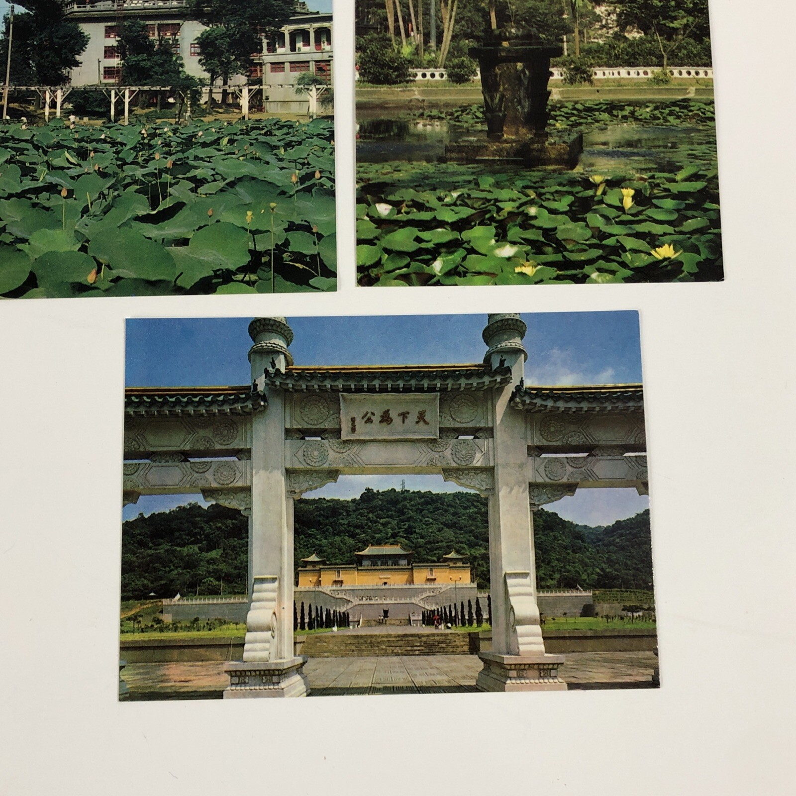Picture 5 of 11