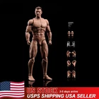 US ANT AM116 1/12 Male Flexible Strong Muscular Body 6in Figure Body Head Sculpt