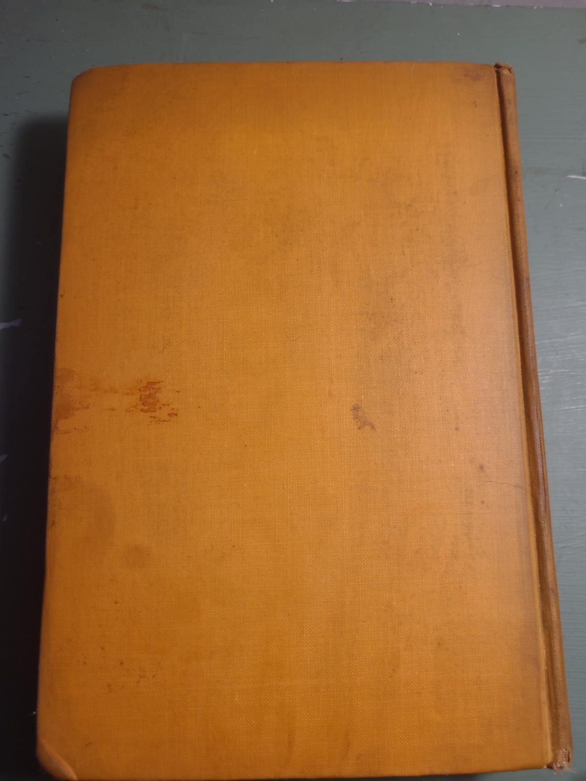 Picture 3