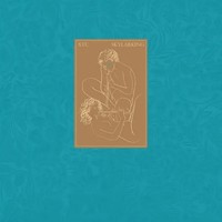Skylarking (200G) | Xtc | Vinyl / Schallplatte | 2018 | Panegyric