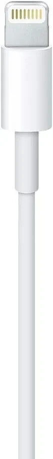 Bild 9 von 11