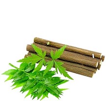 Organic Neem Chew Sticks Datun for Healthy and Strong Teeth
