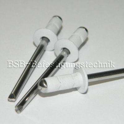 500 Stück  Multi Blindnieten  4x8  Alu/Edelstahl Flachkopf  RAL9003 weiss