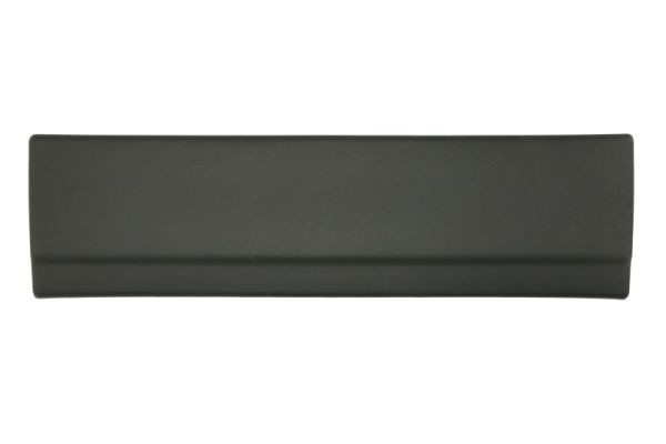 Left Rear BLIC 5703-06-2092575P Trim/Protection Strip, door for FIAT