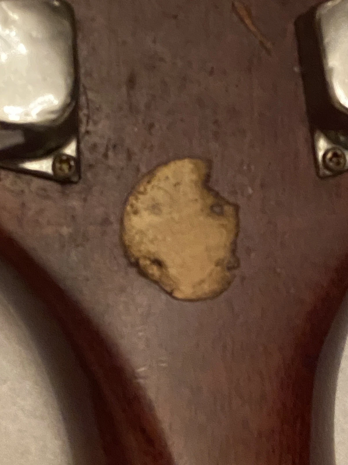 Picture 17 of 19