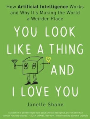 You Look Like a Thing and I Love You : How Artificial Intelligence Works