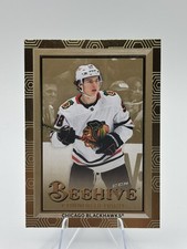24-25 UD Extended Series Hockey Gold Parallel Beehive BH-16 Connor Bedard