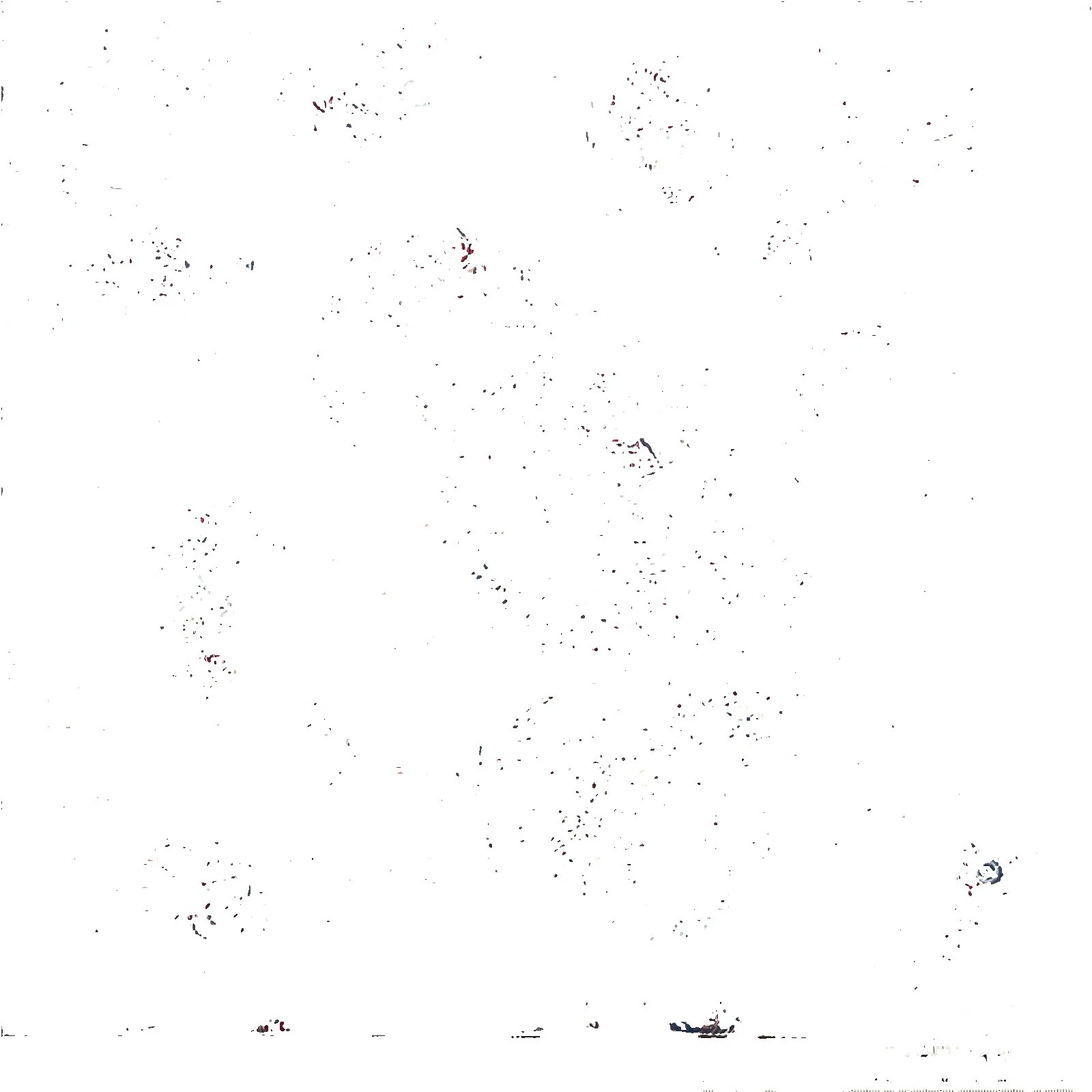 Cotton Paisley Antique/Vintage Craft Fabrics