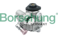 Hydraulikpumpe Lenkung Borsehung B13210 FüR VW Passat B5 3B3 Variant 3B6 3B2 3B5