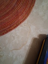 Blues Clue Leap Frog