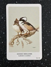 General Cigar Co Northern Birds by Fenwick Lansdowne Card 22 Hooded Merganser