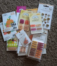 Doodlebug Embellishment Lot Fall Theme Stickers Brads Ribbon Tokens I-Lets
