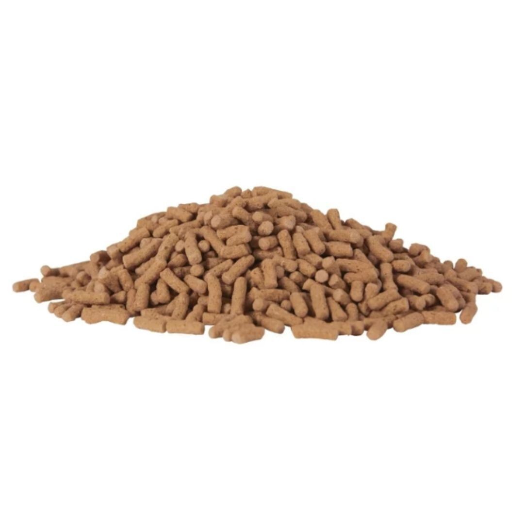Tetra TetraPond Sticks 1 Pound Pond Fish Food For Goldfish And Koi tetra-tetrapond-sticks-1-pound-pond-fish-food-for-goldfish-and-koi