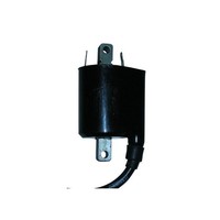 Honda FES Pantheon 150 ZüNdspule 2003-2006 30500MBG003