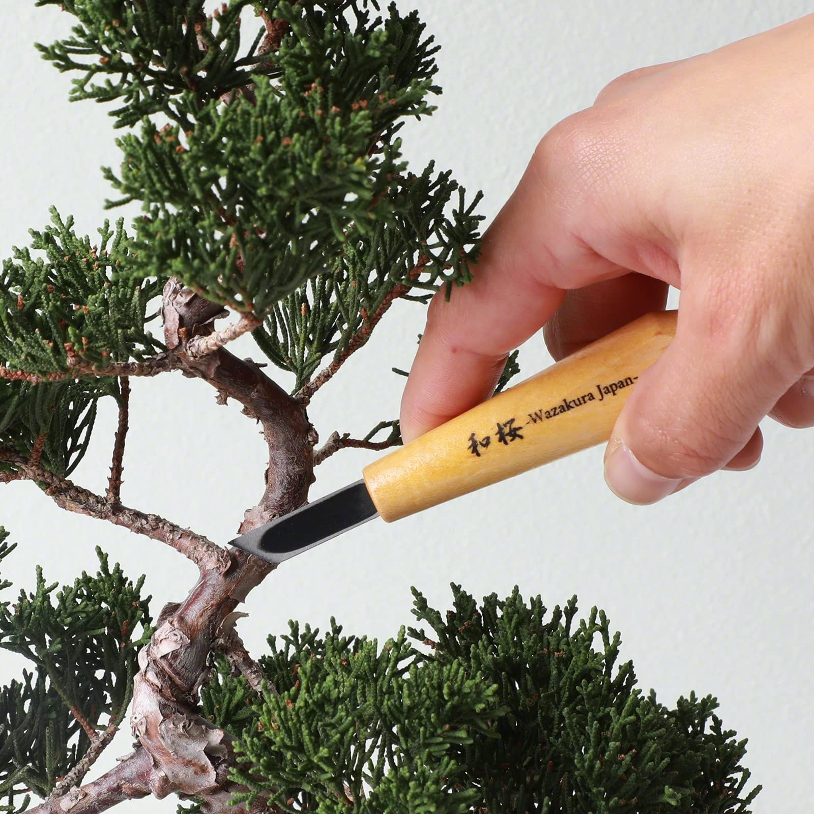 Made in Japan Bonsai Chisel Single Bevel Skewed Hand Carving Tool 0.3 in (7.5...