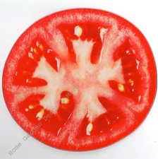 Tempered Glass Cutting Board Kitchen Decor Counter Top Saver Red TOMATO Slice