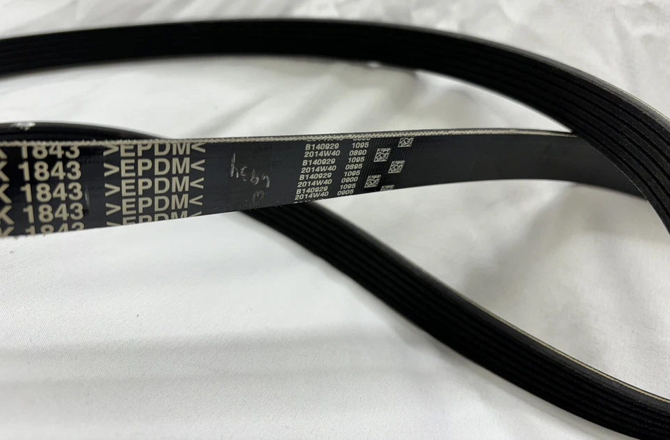 通用正品原始设备制造商 55578485 V 型带蛇形皮带,2014 - 2015 雪佛兰科鲁兹 — 第 3/4 张图片