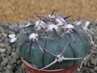 Picture 5 of 5