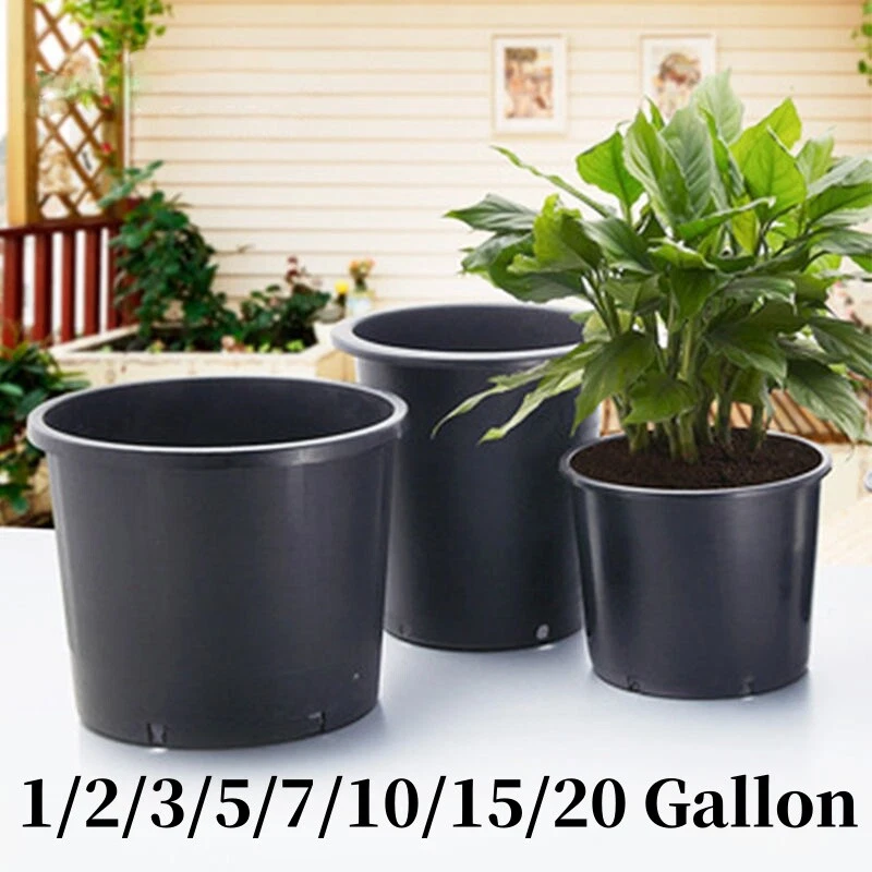 Extra Large Planters for sale | eBay