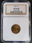 1901 Indian Head Cent - NGC MS 64 RB - Rarity R-5.0  Survival Estimates 1,000