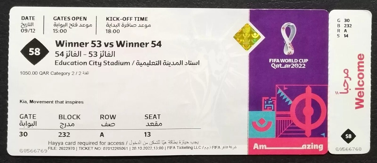 9枚　ワールドカップ　カタール　チケット　2022年　サッカー　FIFA　メッシ Lionel Messi Signed 2022 FIFA World Cup Final Commemorative