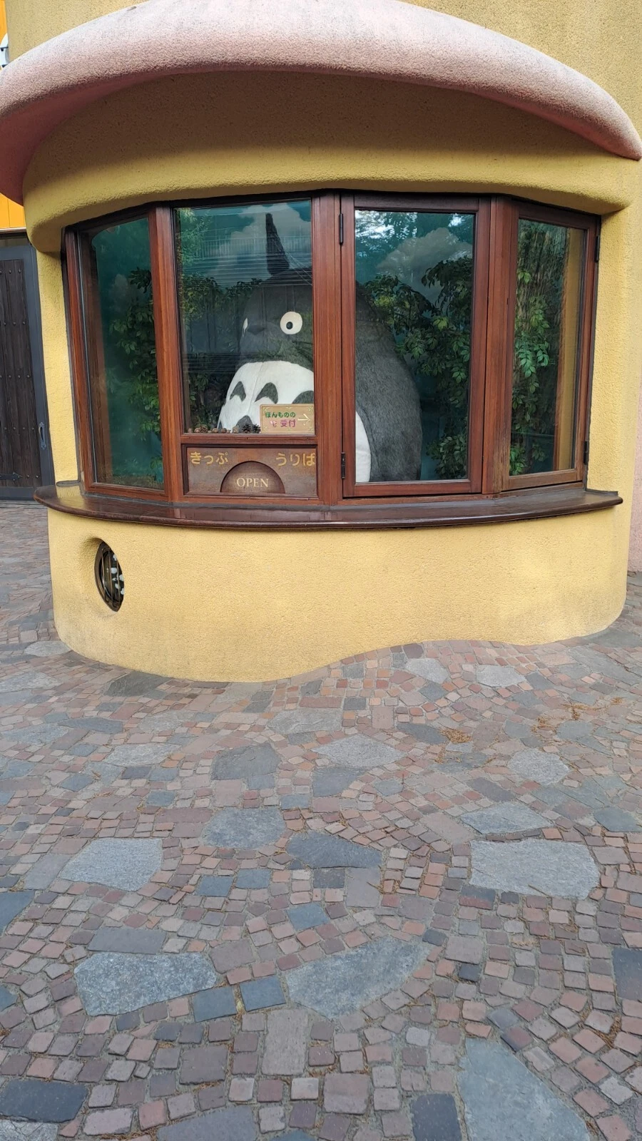 Picture 7 of 7