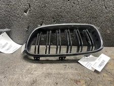 (LOCAL PICKUP ONLY) Driver Grille Bumper Mounted Upper Fits 12-18 BMW 328i 19656