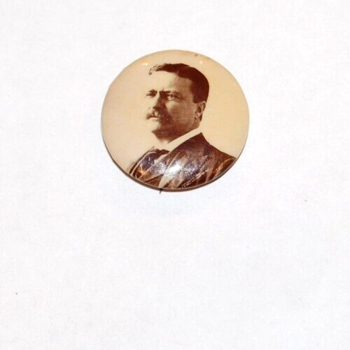 1904 TEDDY ROOSEVELT PRESIDENTE campaña Teodoro pin retro botón presidencial - Imagen 1 de 2