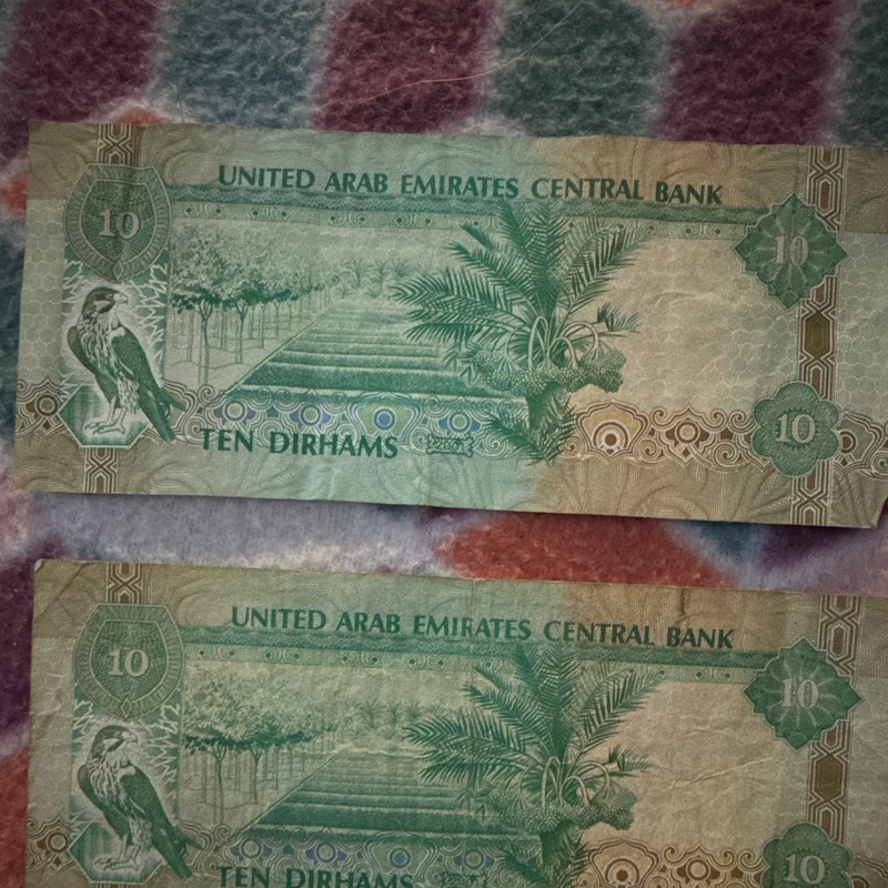 United Arab Emirates 10 Dirhams Banknotes - Lot of 2, Circulated, Uncertified