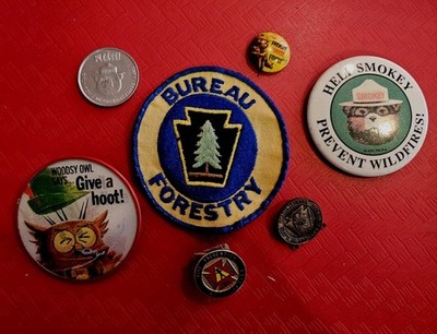 FIRE PREVENTION Old LOT Smokey the Bear Button WOODSY OWL Flasher PINS & Patch 