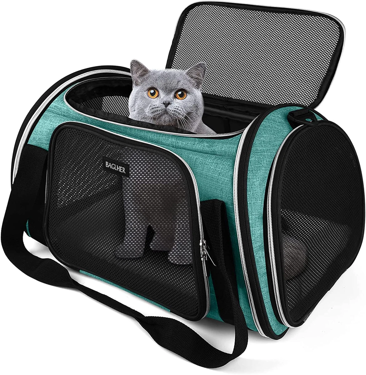 Mpet airline best sale carrier