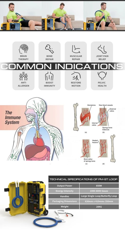 6000 Gauss PEMF Mat Physiotherapy Magnetic Therapy Machine Pmst Loop ...