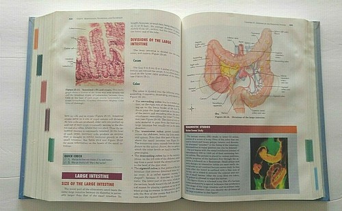 Anatomie & Physiologie Lehrbuch dritte Ausgabe 1996 Thibodeau Patton sehr guter Zustand - Bild 4 von 6
