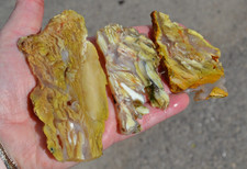 Howardite slabs