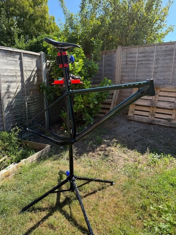 Vitus Rapide Carbon Frame XL