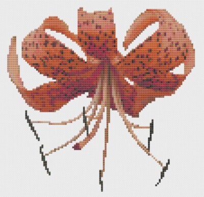 Kreuzstichmuster Von Florashell - Tigerlilienblume