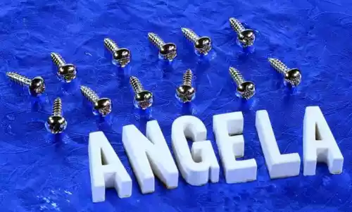 12 Nickel P90 Dogear Pickup Mounting Screws, #GDES