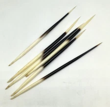 5PC Porcupine Thorn Quills Arrow Thorn Lacquer Inlay Twisting Tool (7 ~ 8 Inch)