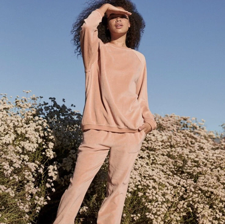 aerie real obsessed velour sweatshirt