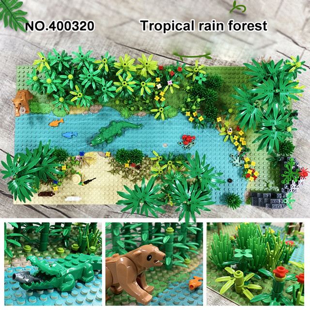 Tropical Rainforest Plants For Kids