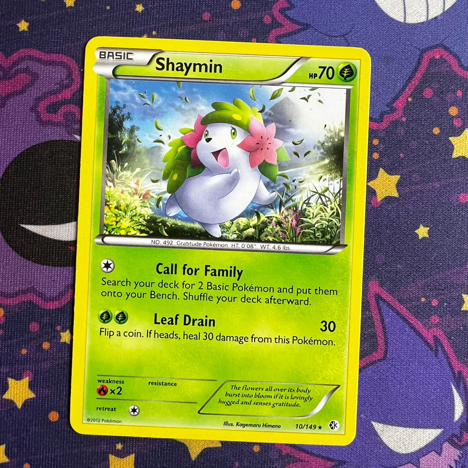 Shaymin 10/149 Rare Regular Boundaries Crossed LP