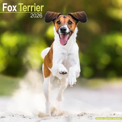 MARBLE CITY PRESS Fox Terrier Calendar 2026 | 12x24" 16 Months | Dog Breed Gift Wall | Avonside