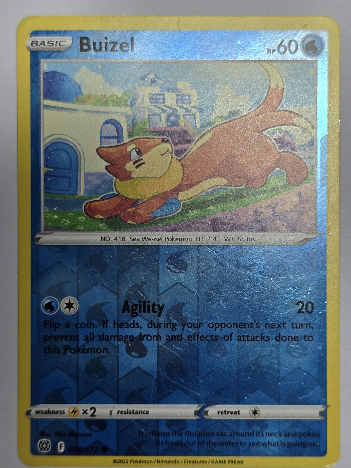 Buizel 38/172 Brilliant Stars Reverse Holo Common Pokemon Card Pokémon TCG 038