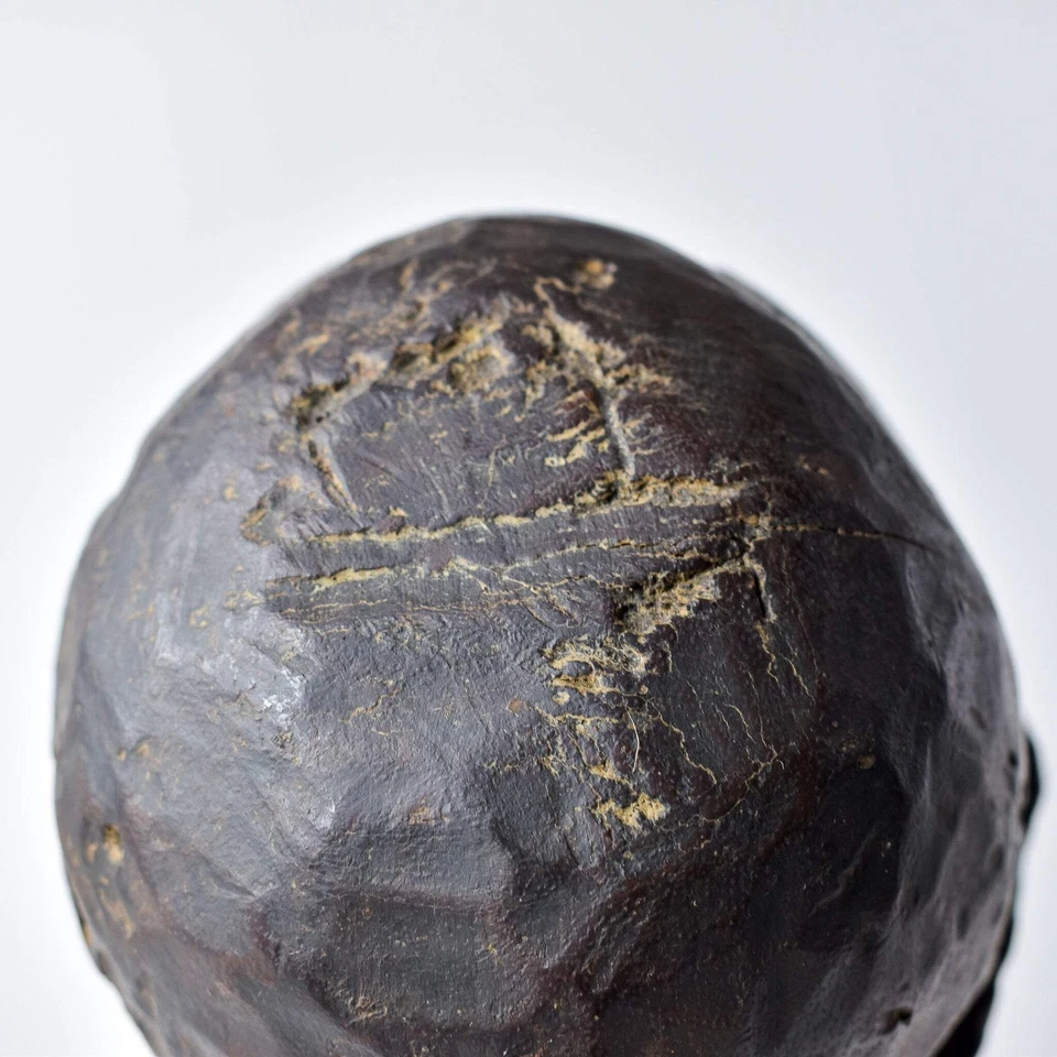 Figura Colmillo Sobre Base Personalizada Gabón Foto 3 de 4